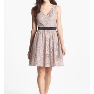 Adrianna Papell Fit and Flare Dress
